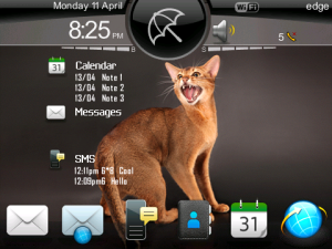 Cat Black i7 Today Style