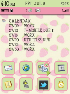 StrawberrySummer Today Plus for BlackBerry Torch 9800 OS 6.0